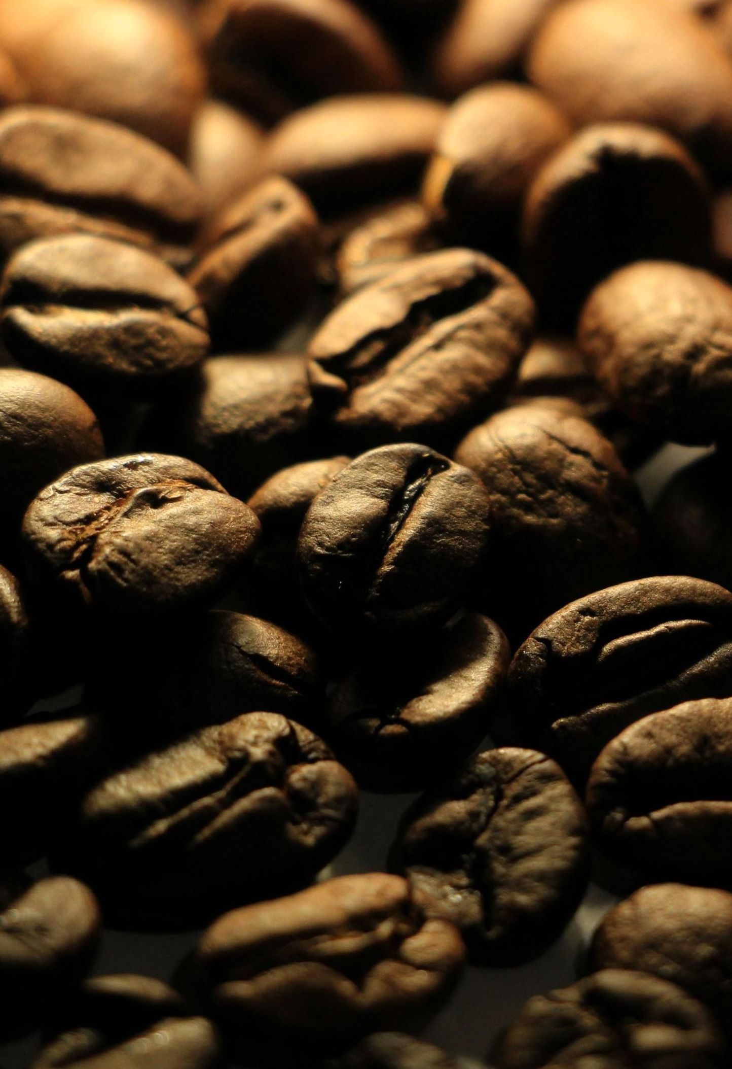 Verse koffiebonen textuur